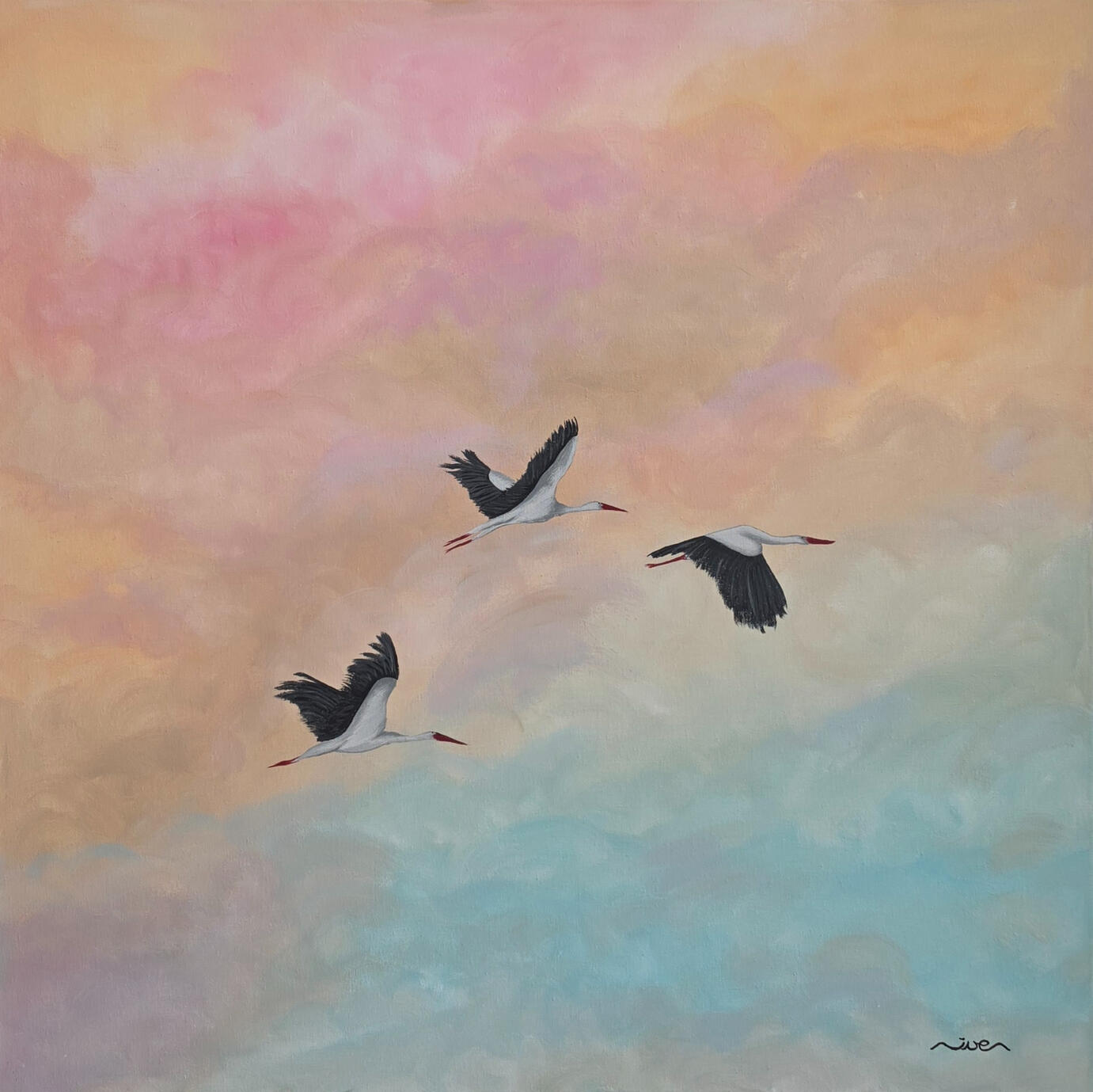 Freedom 80x80 (2 499 zł)